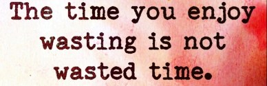 The-time-you-enjoy-wasting-is-not-wasted-time.